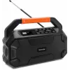 TechniSat DigitRadio 231 OD Ραδιόφωνο, Μαύρο