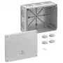 Spelsberg Abox Pro 250-L Κουτί διακλάδωσης, IP66/IP67/IP69, 42540001
