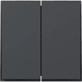 Gira TX44 Πλήκτρο 2 απλό ίσιο, ανθρακί, 349567