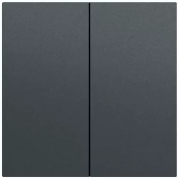 Gira System 70 Πλήκτρο 2 απλό, ανθρακί βερνικωμένο, 329573