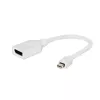Gembird Προσαρμογέας Mini DisplayPort σε DisplayPort, Λευκό