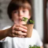 Resetea My First Crops – Σετ Καλλιέργειας Λουλουδιών (Erst441)