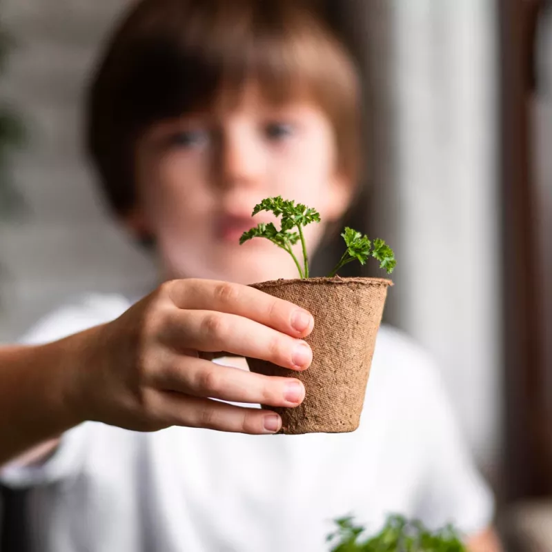 Resetea My First Crops – Σετ Καλλιέργειας Λουλουδιών (Erst441)