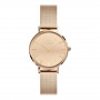 Daniel Wellington DW00100795 γυναικείο ρολόι, 28 mm
