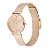 Daniel Wellington DW00100795 γυναικείο ρολόι, 28 mm