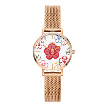 Daniel Wellington DW00100722 γυναικείο ρολόι, 36 mm