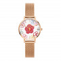Daniel Wellington DW00100722 γυναικείο ρολόι, 36 mm