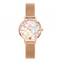 Daniel Wellington DW00100723 γυναικείο ρολόι, 28 mm