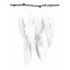 Folia χρωματιστό χαρτί DIN A4 130 g/m²