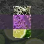 Yankee Candle κερί Midsummer Night, μεσαίο