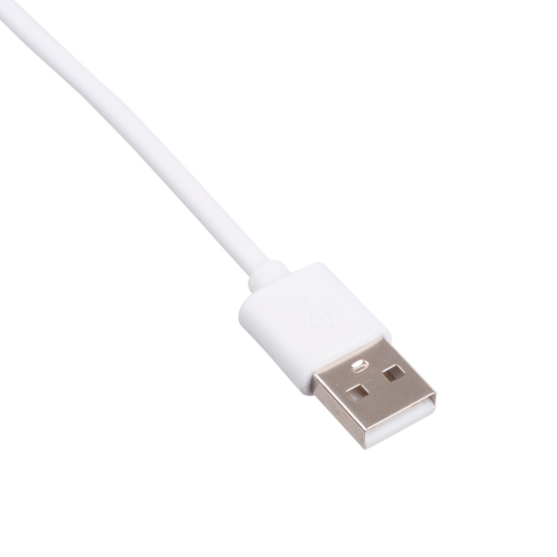Akyga AK-USB-31 Καλώδιο USB-A (M) σε Lightning (M), 1,8 m
