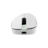 White Shark CAMILLUS WGM-9013 ποντίκι για gaming, λευκό