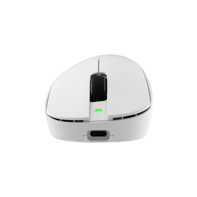 White Shark CAMILLUS WGM-9013 ποντίκι για gaming, λευκό