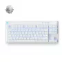 Mchose Mix 87 HW-Mix87-7 πληκτρολόγιο gaming, Mount Tai Magnetic Switch GT