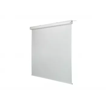 celexon Expert μηχανοκίνητη οθόνη προβολής, 156" (396 cm), 230 V