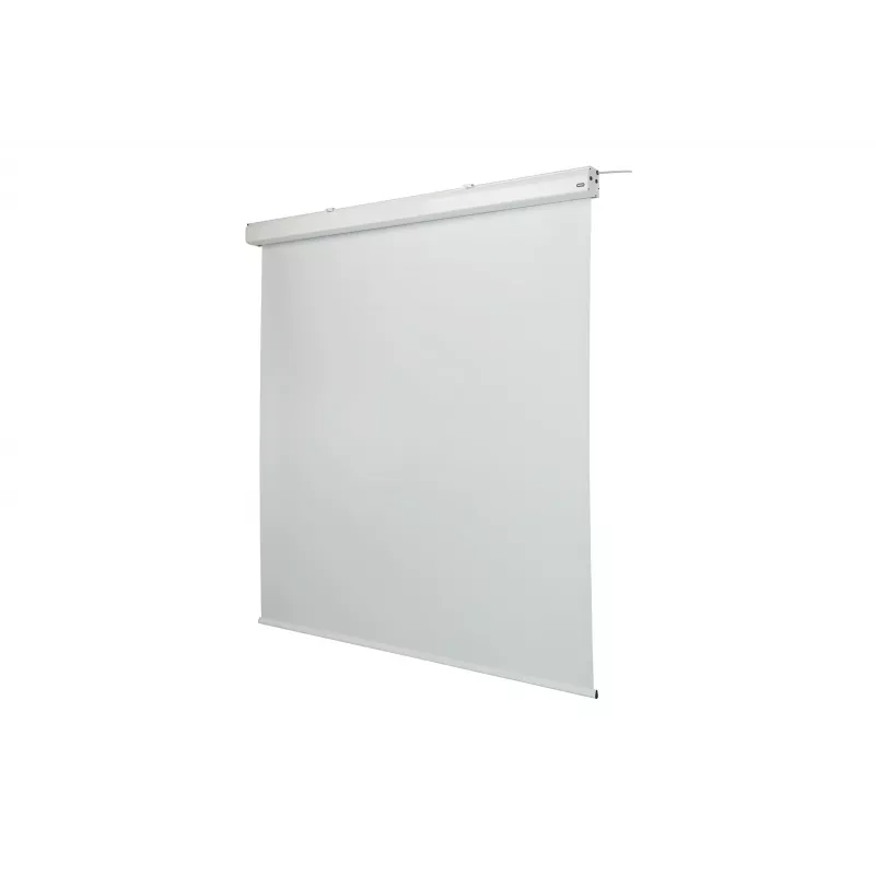 celexon Expert μηχανοκίνητη οθόνη προβολής, 156" (396 cm), 230 V