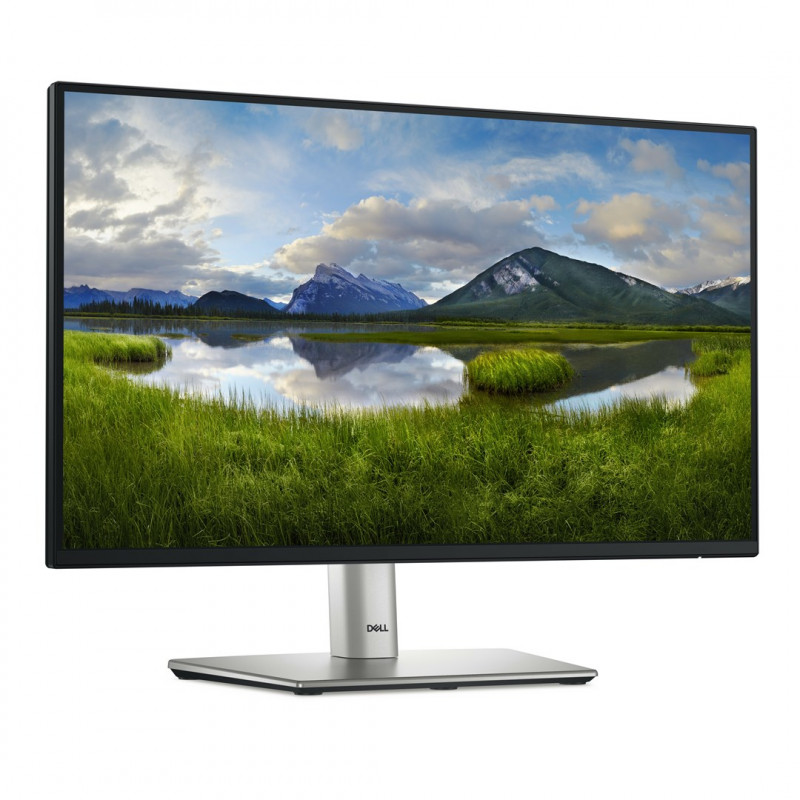 Dell Pro P2225H οθόνη (210-BMHD)