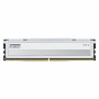 Μονάδα μνήμης Klevv Fit V KD5AGU880-56K300Q DDR5-5600 CL30 16 GB