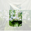 Yankee Candle Clean Cotton κρεμαστό αρωματικό αυτοκινήτου