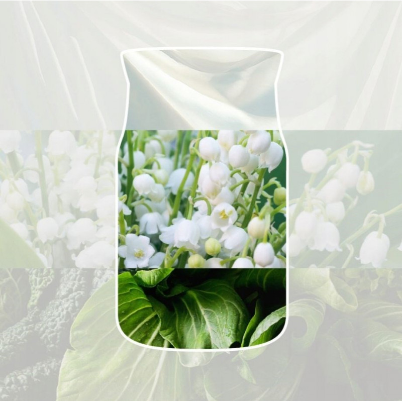 Yankee Candle Clean Cotton κρεμαστό αρωματικό αυτοκινήτου