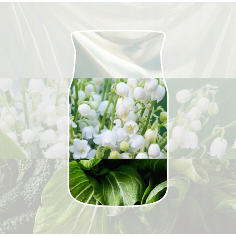 Yankee Candle Clean Cotton κρεμαστό αρωματικό αυτοκινήτου, πακέτο μπόνους