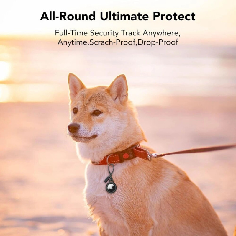 Θήκη μπρελόκ Tech-Protect Rough Chain για Apple AirTag, μαύρη (2 τεμ.)