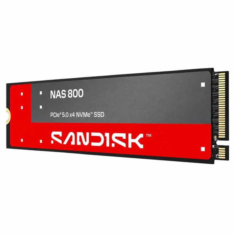 SanDisk NAS 800 1.92 TB M.2 2280 NVMe Gen 5 εσωτερικός SSD (SDSNP2192TAN-000E0)