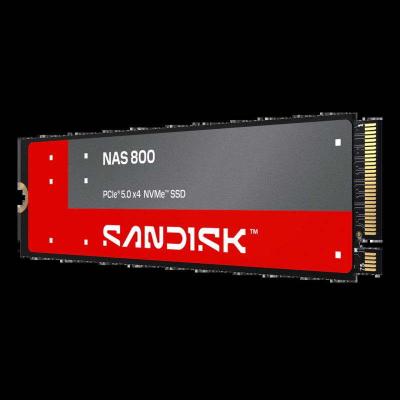 SanDisk NAS 800 960 GB M.2 2280 NVMe Gen 5 εσωτερικός SSD (SDSNP2960GAN-000E0)