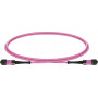 Καλώδιο Patch Lightwin MPO-12 OM4, 12F, UPC Female-Female, Type B, 0,5 m, LSZH