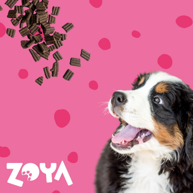 ZOYA ColdPRO Beef ξηρά τροφή για σκύλους, 1 kg