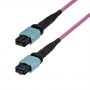 StarTech.com OM4MTP12BOFNP3M MTP/MPO-12 καλώδιο σύνδεσης πολύτροπης ίνας (3 m)