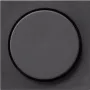 Gira 065028 Κάλυμμα ροοστάτη System 55, Standard 55, E2, Event, Event Clear, Event Opaque, Esprit, ClassiX, ανθρακί