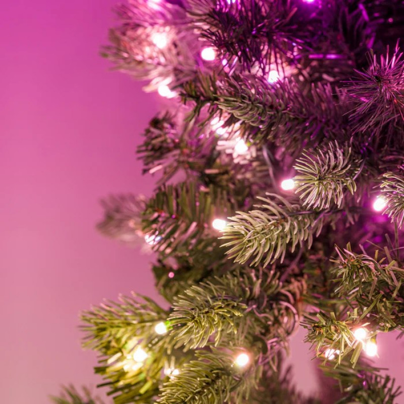 Twinkly Προφωτισμένο Στεφάνι 50 RGB LED, Πράσινο καλώδιο, Βύσμα τύπου C, 60 cm