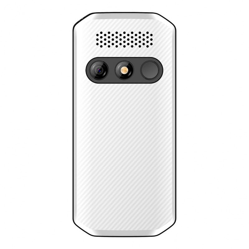 Beafon SL280pro LTE 4G Silver Line μεγάλα πλήκτρα τηλέφωνο απλό, μαύρο-λευκό