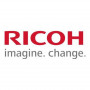 Ricoh D0BN2243 Developer Κίτρινο