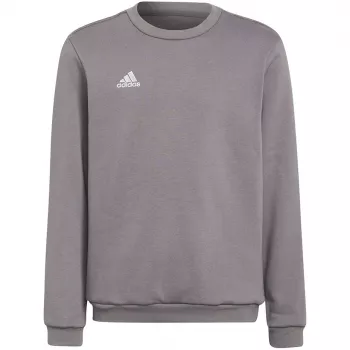 adidas Entrada 22 μπλούζα φούτερ γκρι εφηβικό 128cm