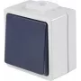 AS SCHWABE 62452 Επιτοίχιος διακόπτης πίεσης, IP54, Γκρι, 250V/10A, 1NO