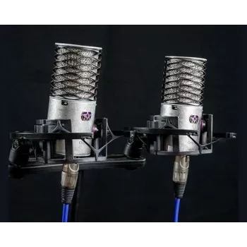 Aston Microphones Origin στερεοφωνικό ζεύγος πυκνωτικών μικροφώνων