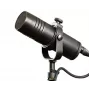 Aston Microphones Stealth Broadcast Μικρόφωνο