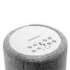 Audio Pro G10 Smart Speaker Ανοιχτό Γκρι