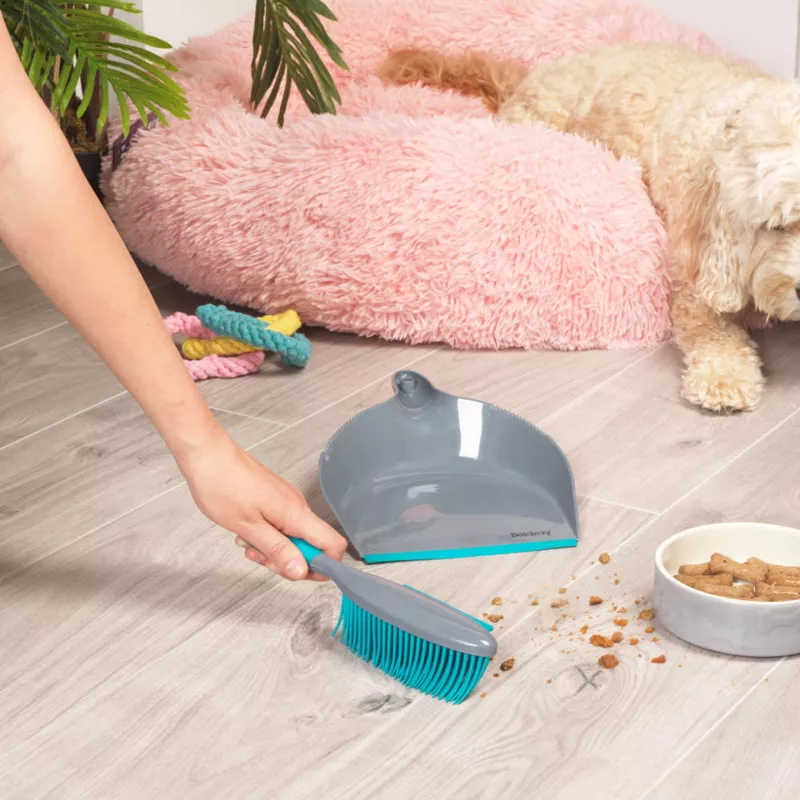Beldray LA034191UFPEU7 Anti-bac Pet Plus+ Σετ φαράσι και βούρτσα με λαστιχένια κεφαλή