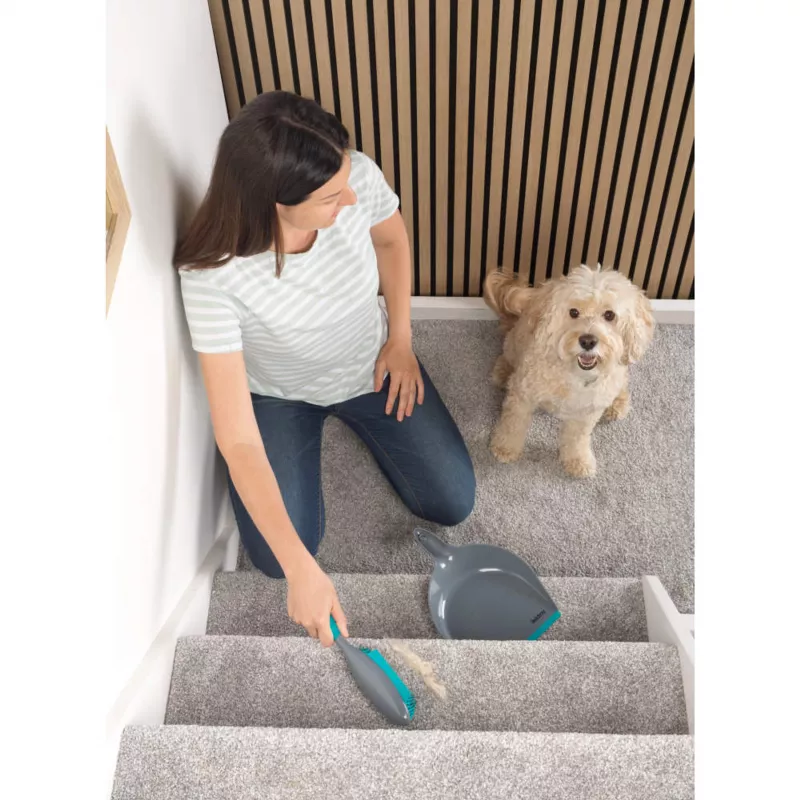 Beldray LA034191UFPEU7 Anti-bac Pet Plus+ Σετ φαράσι και βούρτσα με λαστιχένια κεφαλή