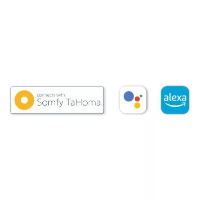 BFT B-EBA Wi-Fi EVO Μονάδα συνδεσιμότητας με κεραία (Bluetooth/easyAXS/TaHoma)