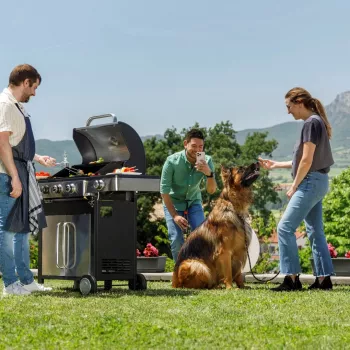 Black+Decker BXOG12950E Ψησταριά υγραερίου, 3 καυστήρες