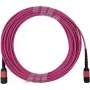 BlueOptics Infortrend 9370FC40GCAB1-0030 MPO-MPO Multi-mode OM4 Patch καλώδιο 2 μέτρα