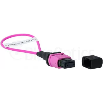 BlueOptics Loopback Adapter MPO/MTP πολύτροπο OM4