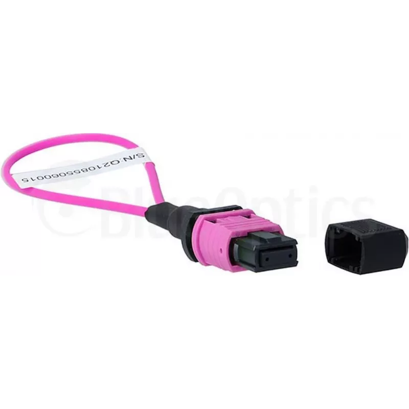 BlueOptics Loopback Adapter MPO/MTP πολύτροπο OM4