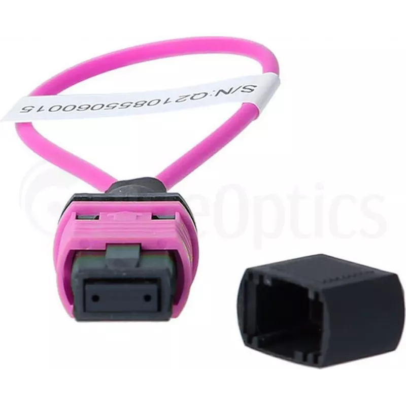 BlueOptics Loopback Adapter MPO/MTP πολύτροπο OM4