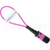 BlueOptics Loopback Adapter MPO/MTP πολύτροπο OM4