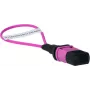 BlueOptics Loopback Adapter MPO/MTP πολύτροπο OM4